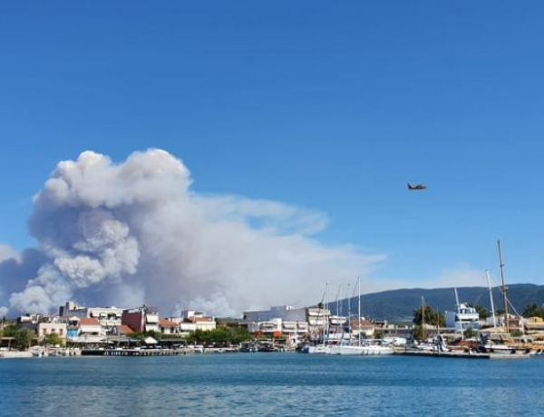 500.000 στρέμματα στάχτη στην Εύβοια - Φωτογραφίες από δορυφόρο