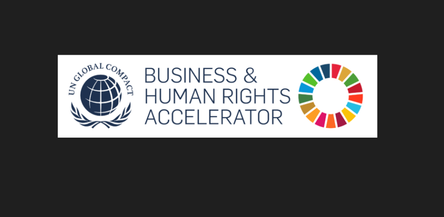 UN Global Compact Network Hellas: Εκπαιδευτικό πρόγραμμα για δράσεις του ιδιωτικού τομέα