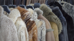 Παρατείνεται το μέτρο της αναστολής συμβάσεων εργασίας στον κλάδο της γουνοποιίας