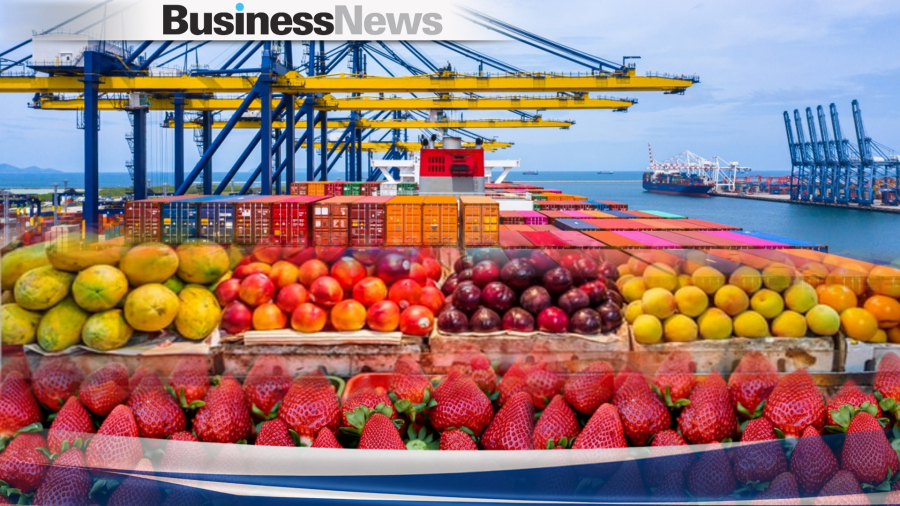 Incofruit-Hellas: Αυξημένες 43,25% οι εισαγωγές φρούτων και λαχανικών τον Ιούνιο