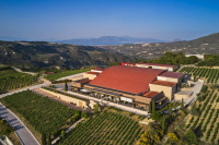 Ελληνικά Οινοποιεία: Ο Γιώργος Δασκαλάκης της Kaizen Gaming νέος μέτοχος με 12%