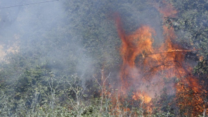 Τρίπολη: Φωτιά σε δασική έκταση στην περιοχή Άνω Δολιανά