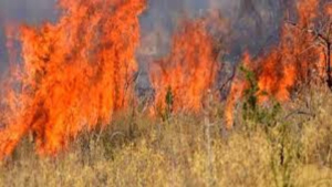 Πυρκαγιά στην Πάρο, κοντά σε κατοικίες - Mήνυμα 112 για να εκκενωθεί το Πυργάκι