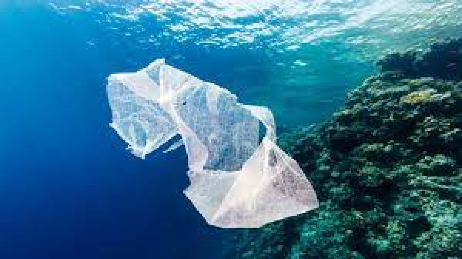 Νέα μελέτη για την ρύπανση των ωκεανών με πλαστικά απορρίμματα
