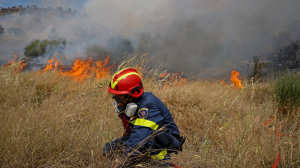 Πυρκαγιά σε χαμηλή βλάστηση στο Κορωπί