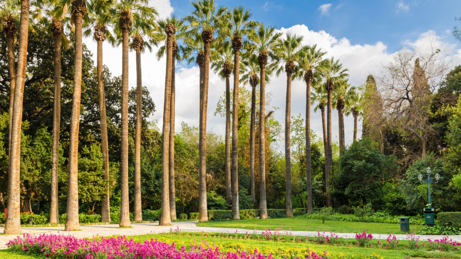 Κλειστός ο Εθνικός Κήπος λόγω ισχυρών ανέμων