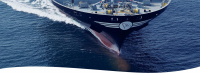 DANAOS: Νέες συμφωνίες ναύλωσης για 11 από τα πλοία της - Εκτόξευση της μετοχής
