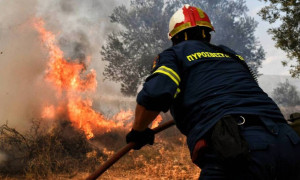 Δασική πυρκαγιά στην περιοχή Λίμνη Ευβοίας - Έρευνα για εμπρησμό