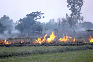 Πίστωση προκαταβολής αποζημίωσης 20,3 εκατ. ευρώ σε 1.463 αγρότες