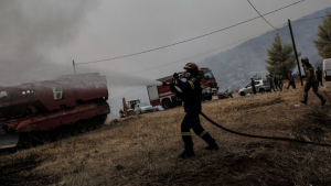 Μάχη με τις αναζωπυρώσεις για 13η ημέρα στον Έβρο - Χωρίς ενεργό μέτωπο η πυρκαγιά στα Φάρσαλα