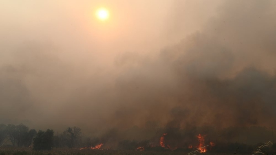 Φωτιά στην Αλεξανδρούπολη: Τρία τα ενεργά μέτωπα
