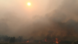 Φωτιά στην Αλεξανδρούπολη: Τρία τα ενεργά μέτωπα