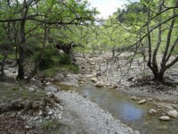 Ανάδειξη του Παναχαϊκού Όρους: Προστασία του φυσικού περιβάλλοντος, υποδομές πεζοπορίας και δασικής αναψυχή
