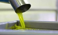 Οι παραγωγοί αγωνιούν για τη ρευστότητα – «Δεν έχει την πολυτέλεια ο πρωτογενής τομέας να χάνει ευρώ»