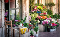 Αναβιώνει ο χώρος των ιστορικών ανθοπωλείων του Συντάγματος
