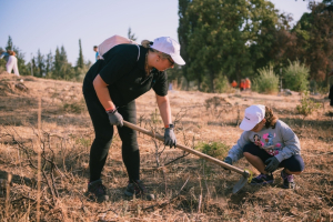 Nova: Πραγματοποίησε νέα περιβαλλοντική εθελοντική δράση στην Ιερά Μονή Πεντέλης