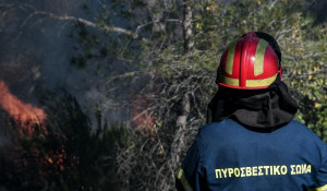 Πύργος: Σε εξέλιξη πυρκαγιά σε δασική έκταση στην περιοχή Βροχίτσα
