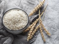 Μανιφέστο για την προστασία της ευρωπαϊκής ρυζοκαλλιέργειας