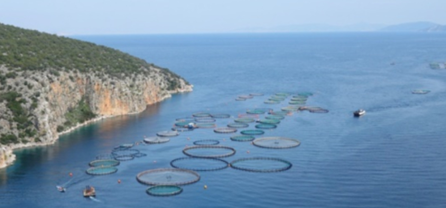 Δημόσια διαβούλευση για το σχέδιο υποβολής αιτήσεων ενίσχυσης στο υποέργο «Ενίσχυση Υδατοκαλλιεργειών» του Ταμείου Ανάκαμψης και Ανθεκτικότητας