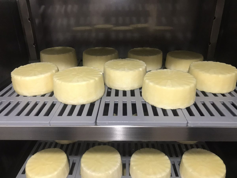 Αμερικανική Γεωργική Σχολή: Παρήγαγε τυρί από μη παστεριωμένο γάλα - Τα πλεονεκτήματα