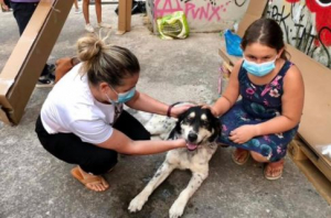 Περιφέρεια Αττικής: Δημιουργία χώρου για τα πυρόπληκτα ζώα και χορηγία τροφής τριών τόνων