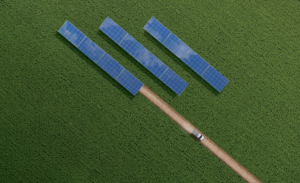 Ο υπουργός Αγροτικής Ανάπτυξης και τροφίμων Σπήλιος Λιβανός.