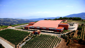 To Κτήμα Semeli επισκέφτηκαν φίλοι και φίλες του κρασιού