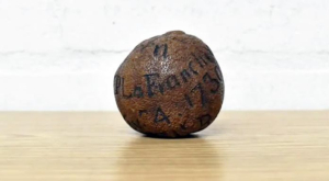 Λεμόνι από την Ινδία του 1739 πουλήθηκε 1.800 δολάρια σε δημοπρασία