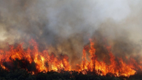 Αλλάζουν οι πυρκαγιές στην Ευρώπη και ειδικότερα στη Μεσόγειο, λόγω κλιματικής αλλαγής