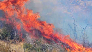 Σε εξέλιξη η φωτιά στην Ανατολική Μάνη της Λακωνίας