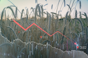 Από την άνοδο των τιμών των τροφίμων, έως την κοινωνική αναταραχή - Οι τεράστιες επιπτώσεις του πολέμου