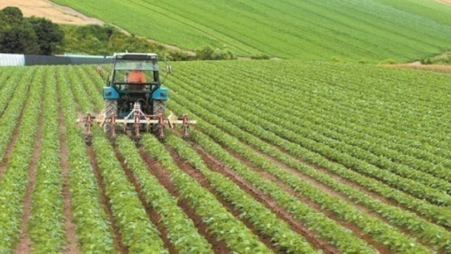 Ξεκινά ο νέος γύρος επενδύσεων στην ελληνική γεωργία - Έρχονται τα νέα «Σχέδια Βελτίωσης»