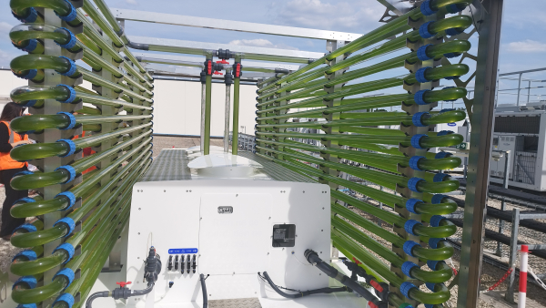 Καινοτόμο έργο μετατροπής θερμότητας από data centers σε βιομάζα από φύκη