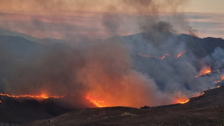 Πώς εξελίσσεται η μάχη στα πύρινα μέτωπα σε Αχαΐα, Ηλεία, Χίο, Ζάκυνθο - 15 πυροσβέστες τραυματίστηκαν