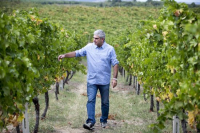 ΚΥΡ-ΓΙΑΝΝΗ: Επέκταση αμπελώνα Σαντορίνης με 30 στρέμματα τον χρόνο, μετά την εξαγορά Σιγάλα