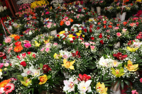 Ανθοπώλες: Μικρές αυξήσεις στα λουλούδια για το Πάσχα – Εισαγωγές και από το εξωτερικό