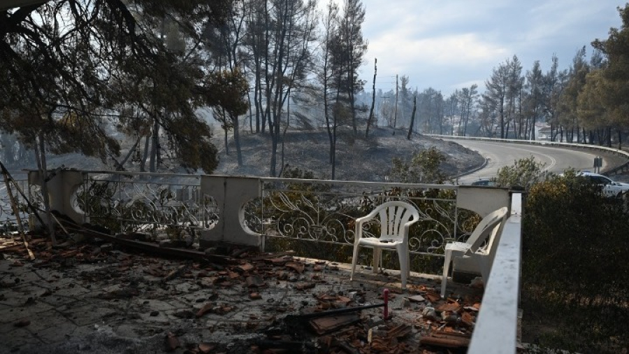 Χαλκιδική: Ξεκίνησε η υποβολή αιτήσεων κρατικής αρωγής σε πυρόπληκτες επιχειρήσεις