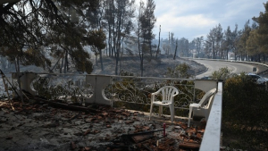 Χαλκιδική: Ξεκίνησε η υποβολή αιτήσεων κρατικής αρωγής σε πυρόπληκτες επιχειρήσεις