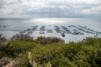 ΕΛΟΠΥ: Δύο νέα ερευνητικά έργα για το περιβάλλον σε συνεργασία με το Πανεπιστήμιο Πατρών