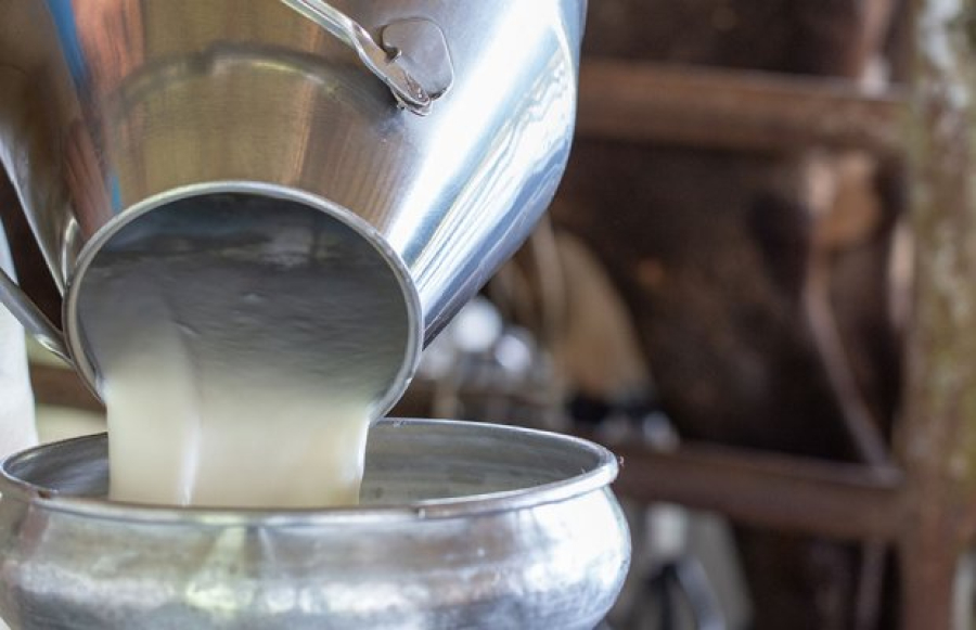 Λιγότεροι (-10%) οι κτηνοτρόφοι που παρέδωσαν αγελαδινό γάλα το 10μηνο του 2022