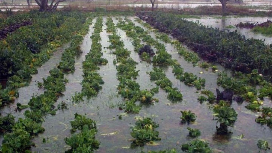 Σε κατάσταση έκτακτης ανάγκης ο δήμος Εορδαίας, λόγω της κακοκαιρίας
