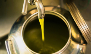 Σε δημόσια διαβούλευση θεσμοθέτηση και προδιαγραφές Επισκέψιμων Ελαιοτριβείων