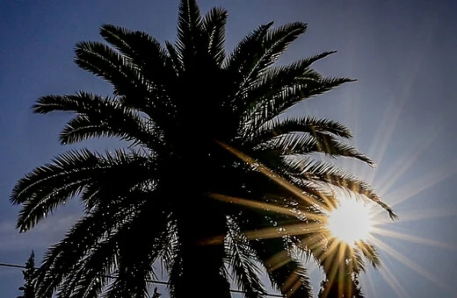 Copernicus: Ο θερμότερος φετινός χειμώνας όλων των εποχών στην Ελλάδα