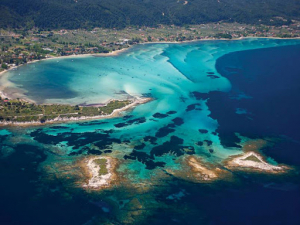 Πυρκαγιά σε δασική έκταση στη Βουρβουρού στη Χαλκιδική