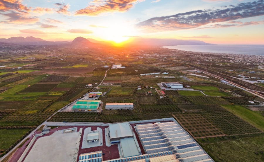 Tikun Olam Ελλάδος: Διευρύνει την πρόσβαση ασθενών σε νέα προϊόντα φαρμακευτικής κάνναβης