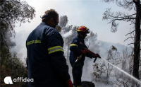 Όμιλος Affidea: Στηρίζει τους πυροσβέστες για 4η Συνεχή Χρονιά