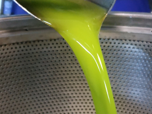 DMB: Ενα πολύτιμο συστατικό στο ελαιόλαδο εντόπισαν Έλληνες και Τούρκοι επιστήμονες