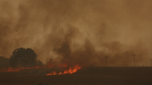 Πυρκαγιά στον Πρόδρομο Βοιωτίας: Αναζωπυρώσεις και νέα μέτωπα