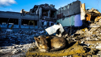 Ρώσοι βομβάρδισαν σχολή Καλών Τεχνών στη Μαριούπολη - Άμαχοι παγιδευμένοι κάτω από τα ερείπια