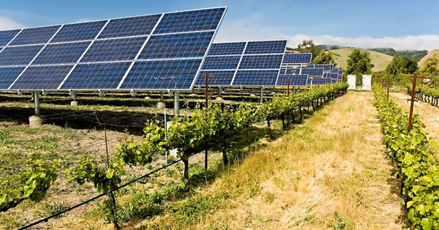 Υποχρεωτική η φύτευση στα φωτοβολταϊκά πάρκα